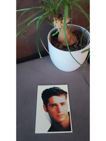 Carte postale Jason Priestley