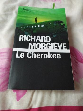 Le Cherokee de Richard Morgieve