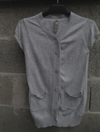 Gilet gris manche courte