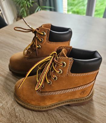 Chaussures Bottines à lacets Timberland