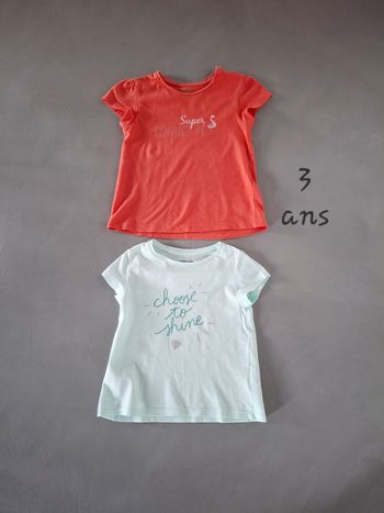 Lot de 2 T-shirts Vertbaudet 3A