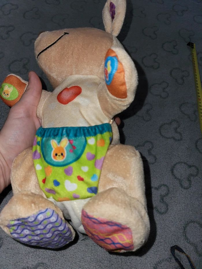 Kangourou vetch - photo numéro 3