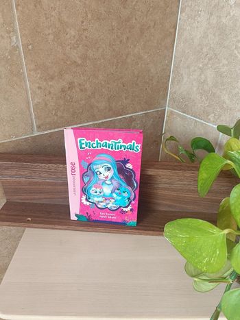 Livre enchantimals