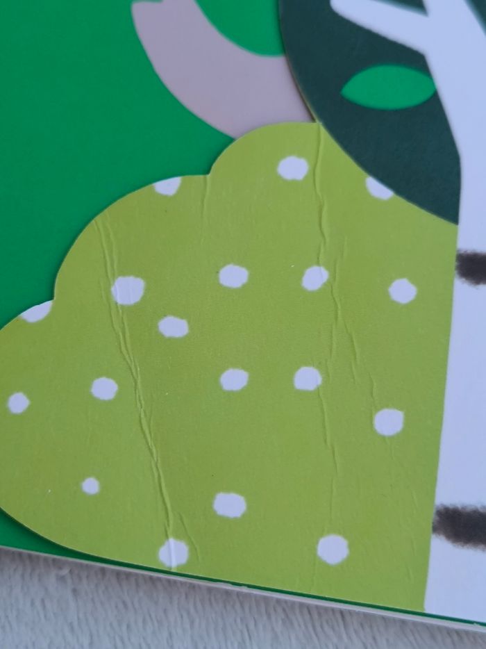 Livre Cache-cache dans la jungle Fleurus - photo numéro 8