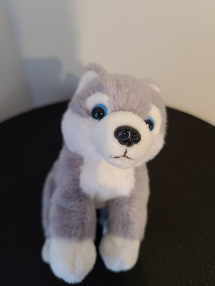 doudou husky - photo numéro 5