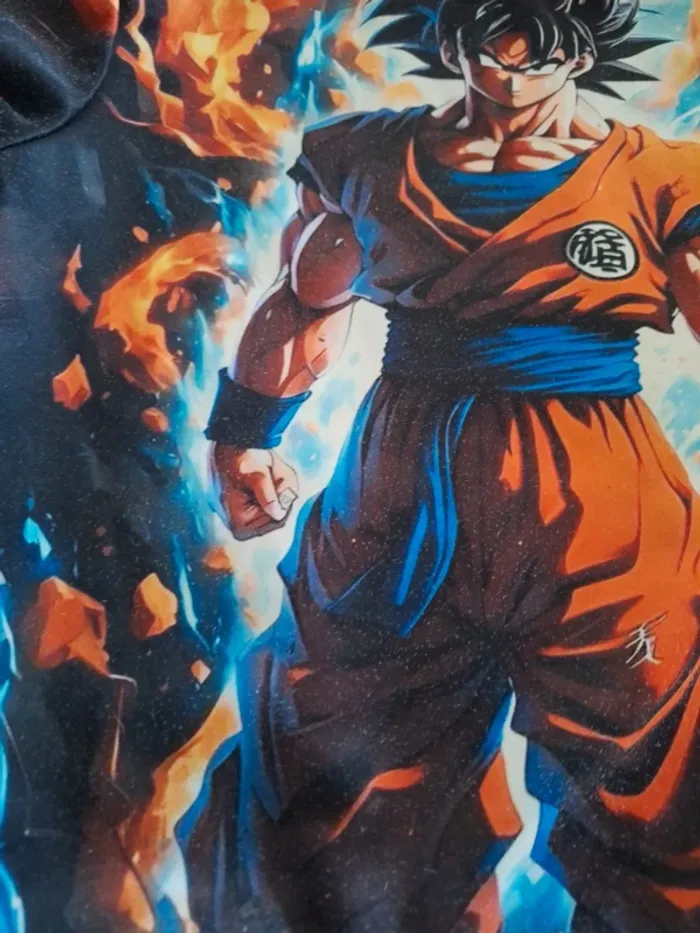 Sweat dragon ball Z - photo numéro 5