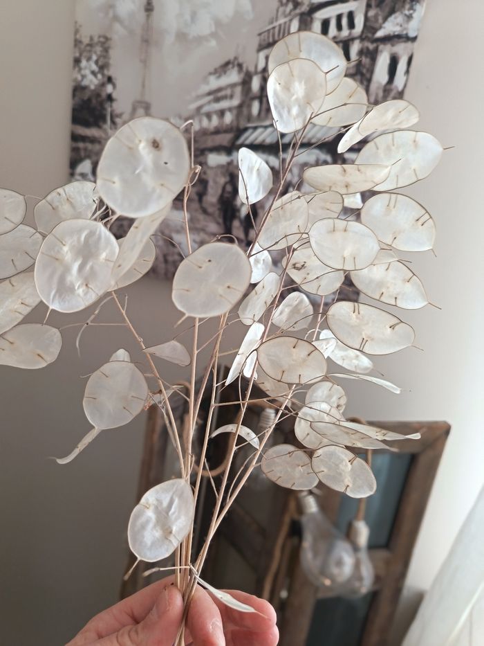 Fleurs séchées de mon jardin 💐 - photo numéro 2