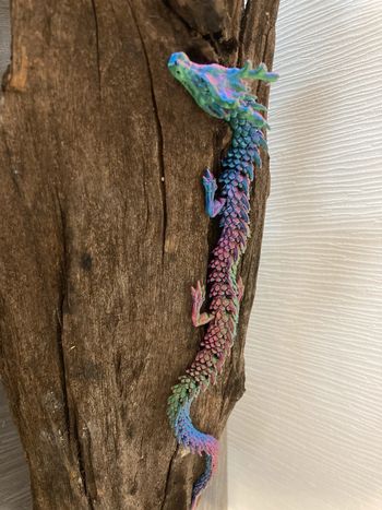 Dragon multicolore