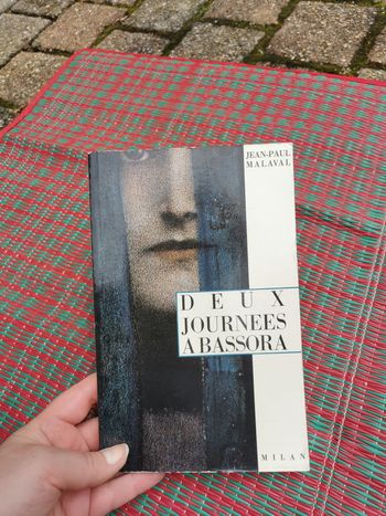 Jean-Paul Malaval, Deux journées à Bassora