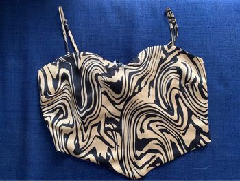 Haut stradivarius L