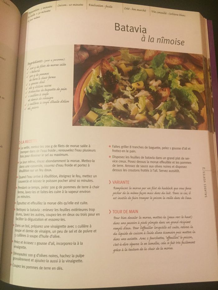 Gros livre de recettes: salades - Les Salades 150 Recettes - photo numéro 6