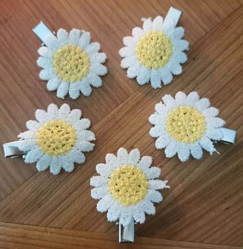Pince en broderie