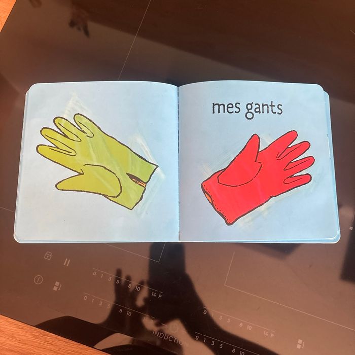Le vent m’a pris - photo numéro 3