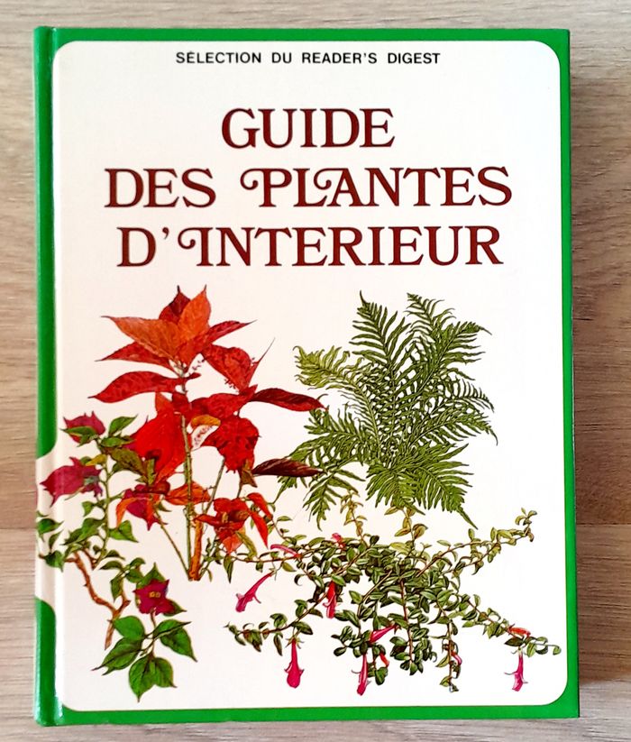 guide des plantes d'intérieur