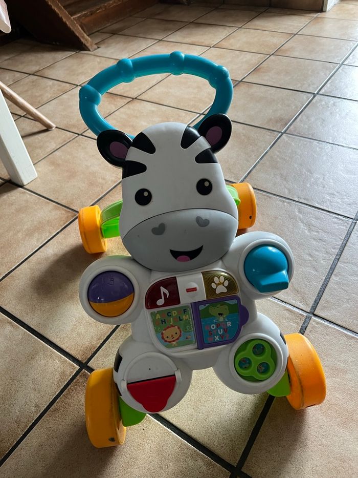 Trotteur zèbre - photo numéro 2