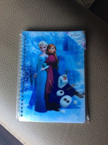 Cahier Reine des Neiges