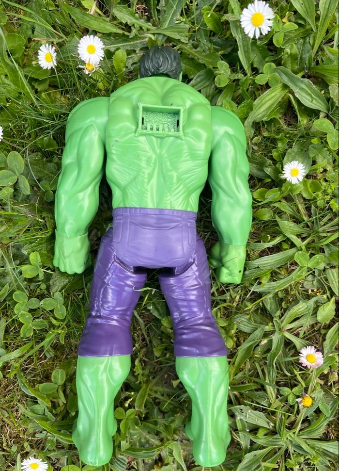 Hulk Marvel - photo numéro 3