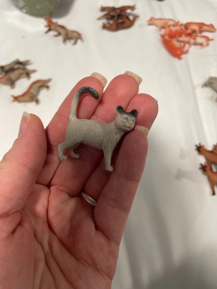 Lot animaux - photo numéro 2
