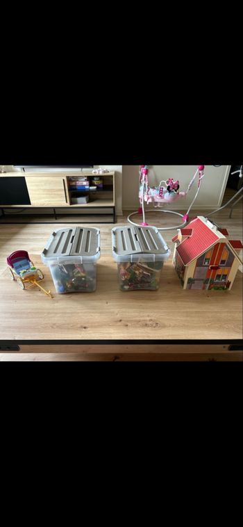 Gros lot divers et variés de Playmobil