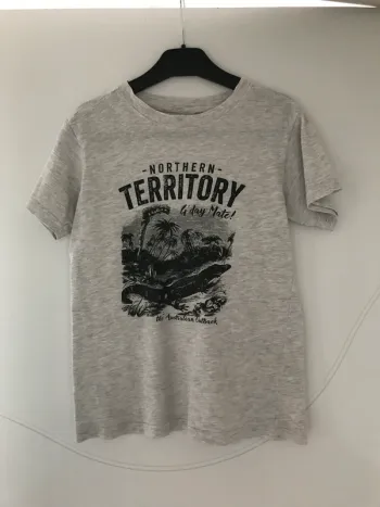 t-shirt garçon 134-140 cm 9-10ans zeeman gris chiné coton