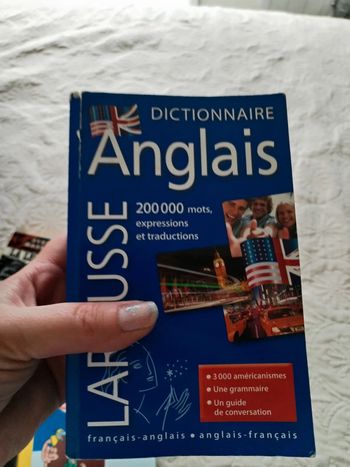 Dico anglais petit larousse (c)