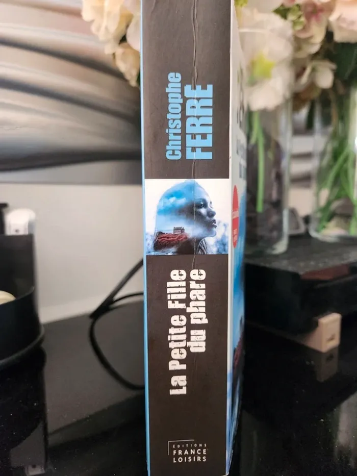 livre "La petite fille du phare" - photo numéro 2