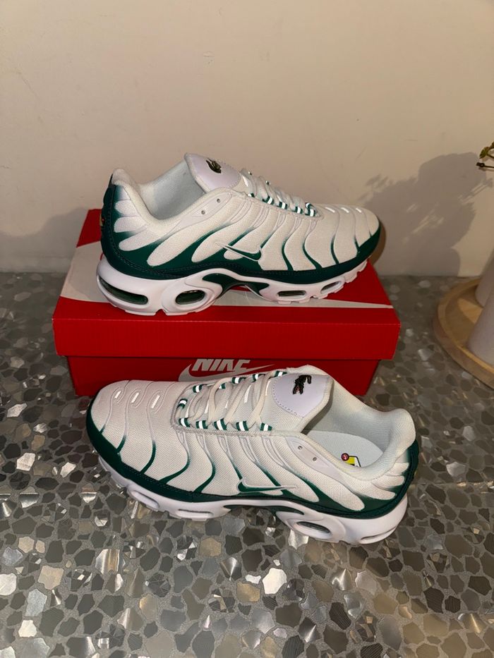 Tn nike Lacoste - photo numéro 2