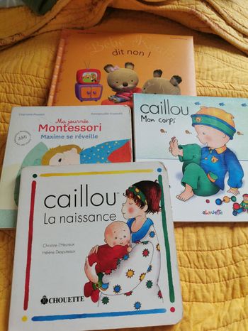 Lot de 4 livres cartonnes enfant