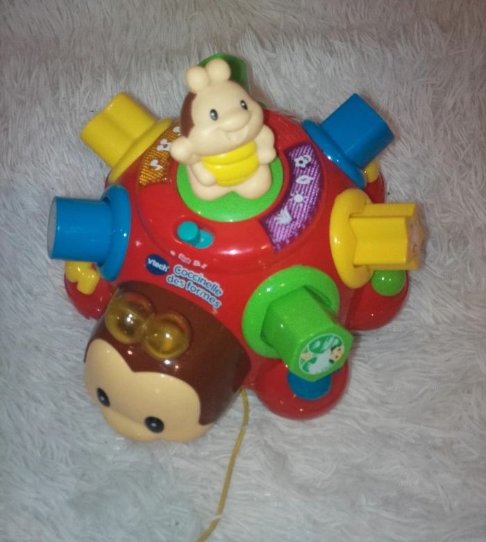 Coccinelle des formes musicales