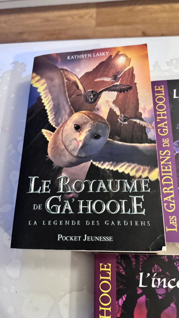 Lot 3 livres Les Gardiens de Ga’Hoole – Kathryn Lasky – Tomes 1 à 3 + 5 & 6 – Pocket Jeunesse - photo numéro 2