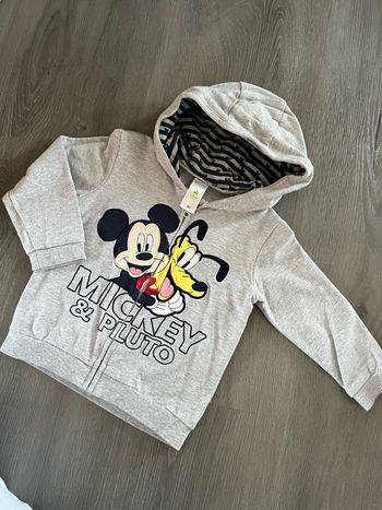 Gilet Mickey et Pluto