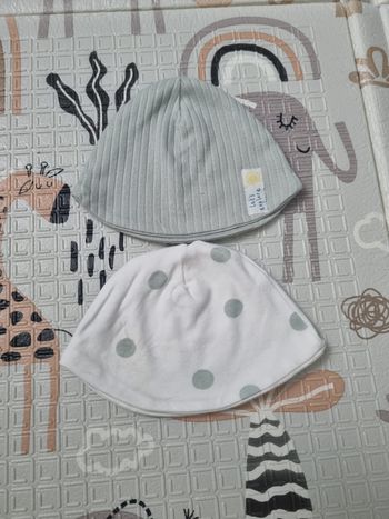 Bonnet 