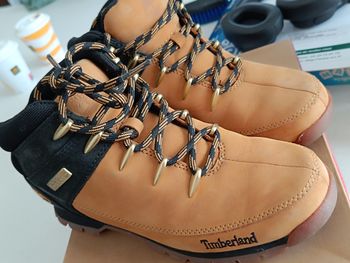 Timberland T40