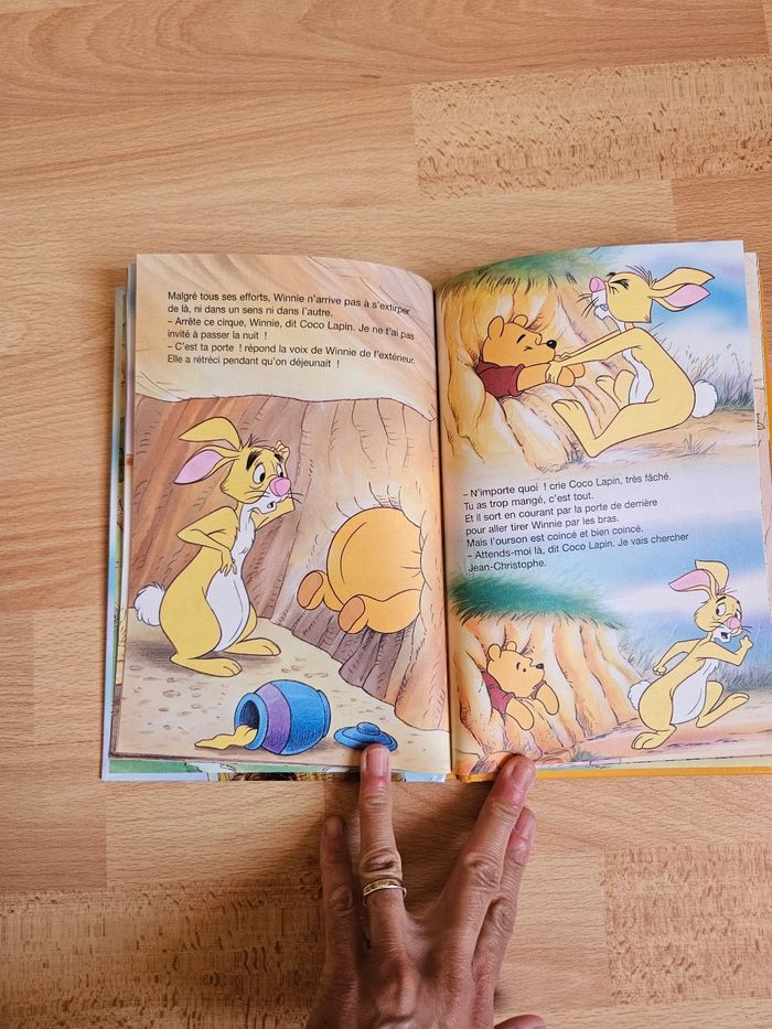 Livre winnie l'ourson - photo numéro 3