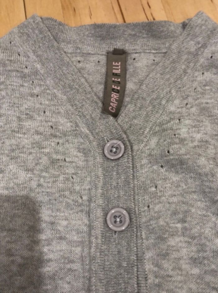 Gilet gris manche courte - photo numéro 5