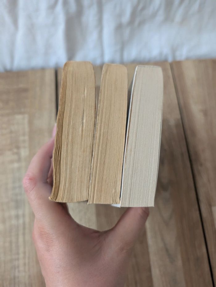 Lot livres le seigneur des anneaux - photo numéro 15
