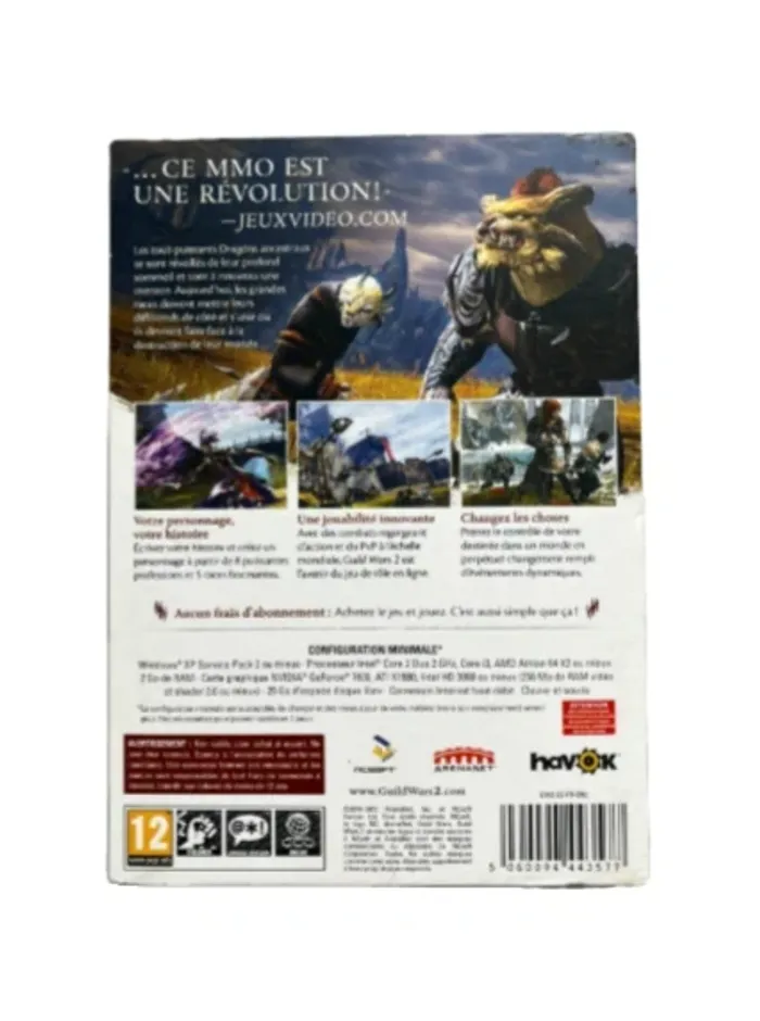 Jeu Guild Wars 2 - photo numéro 2