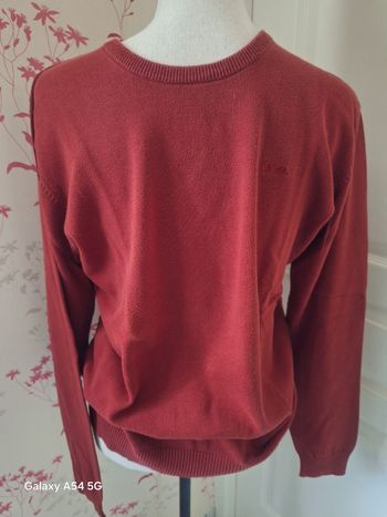Pull raz du cou