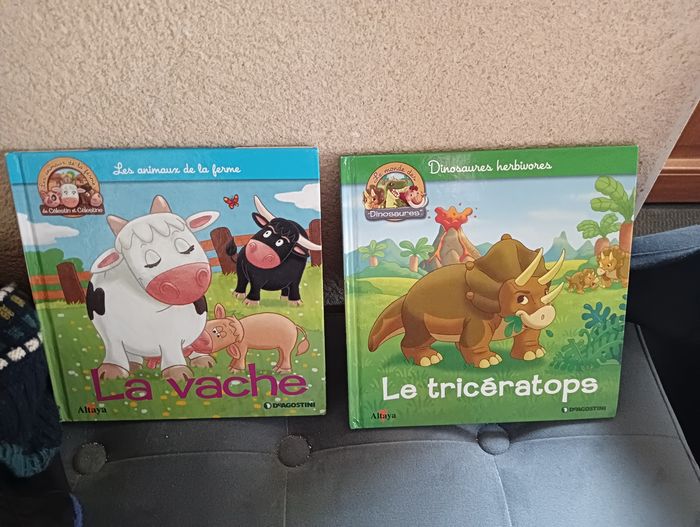 Lot livres enfant illustrés éducatifs Altaya - photo numéro 9