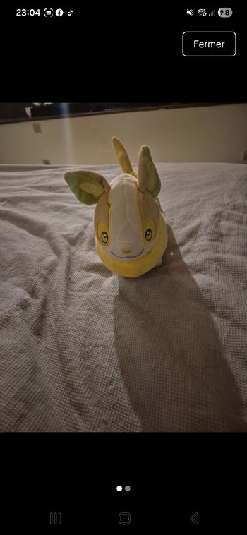 Doudou pokemon