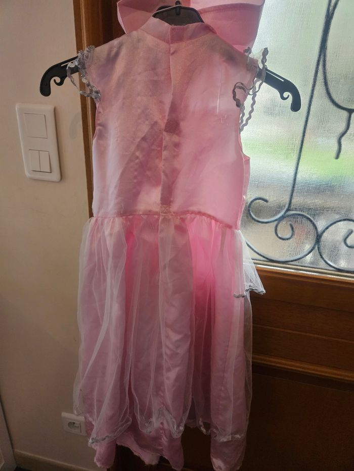 Déguisement fee princesse - photo numéro 5