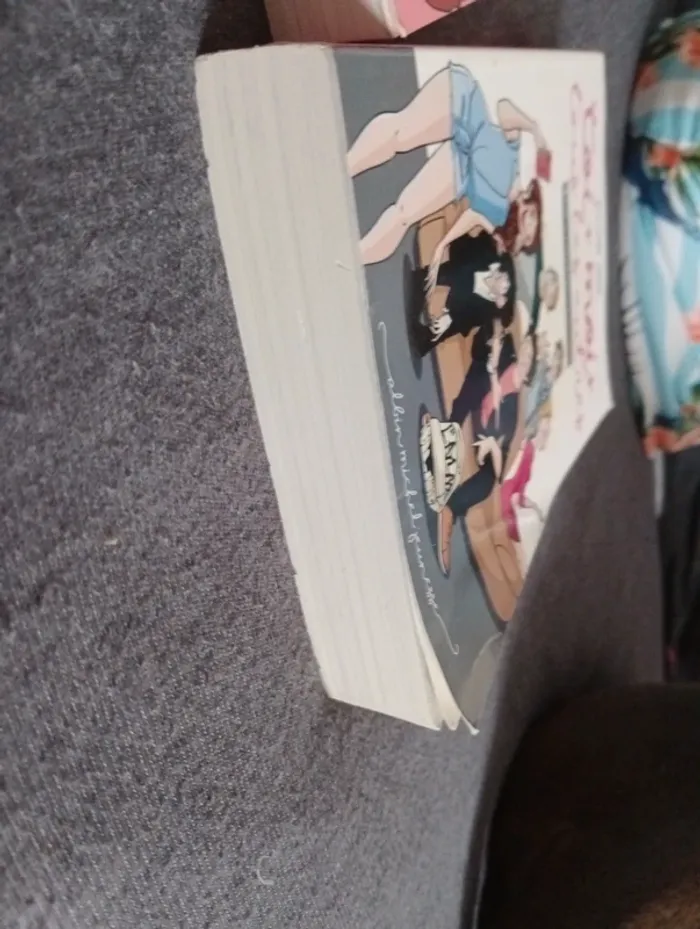 Lot de 2 livres "toi+moi+tous les autres" - photo numéro 5