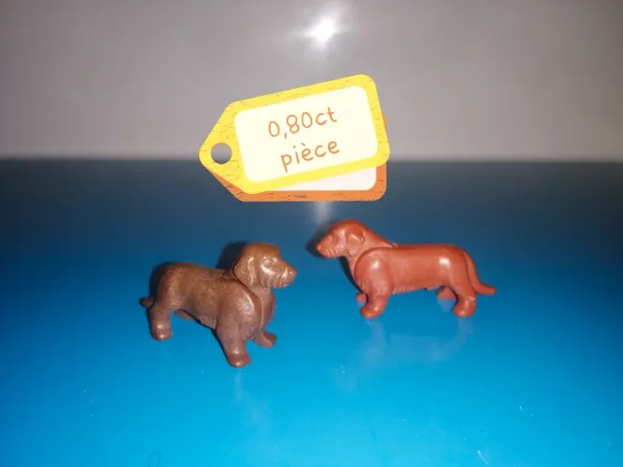 Thème* animaux / chien - chiot - photo numéro 5