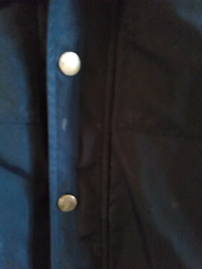 Manteau - photo numéro 2