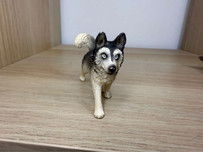 Chien husky schleich - photo numéro 2