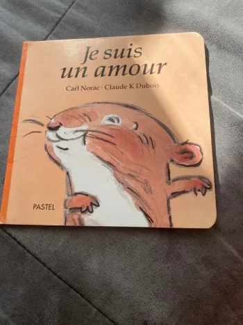 Livre je suis un amour