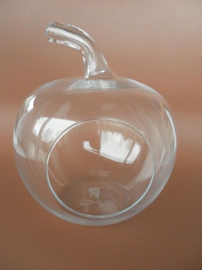 terrarium verre