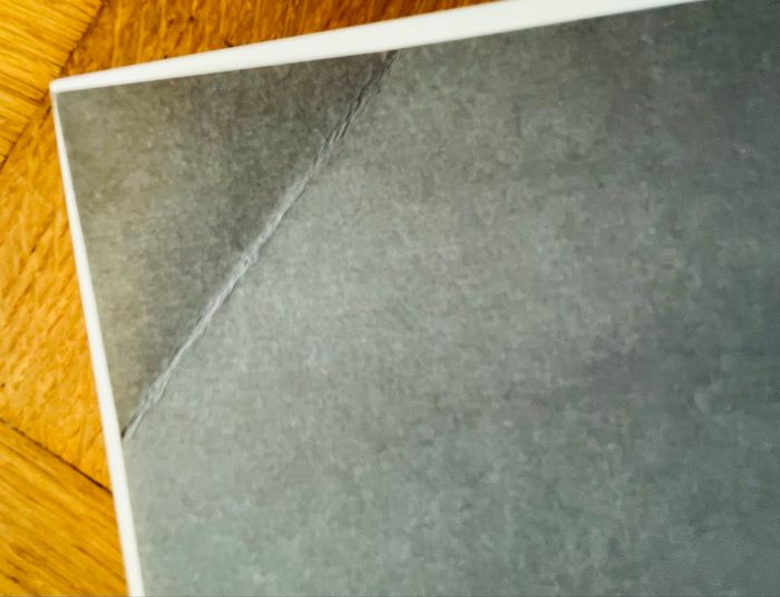 Chacun Son Chat - photo numéro 5