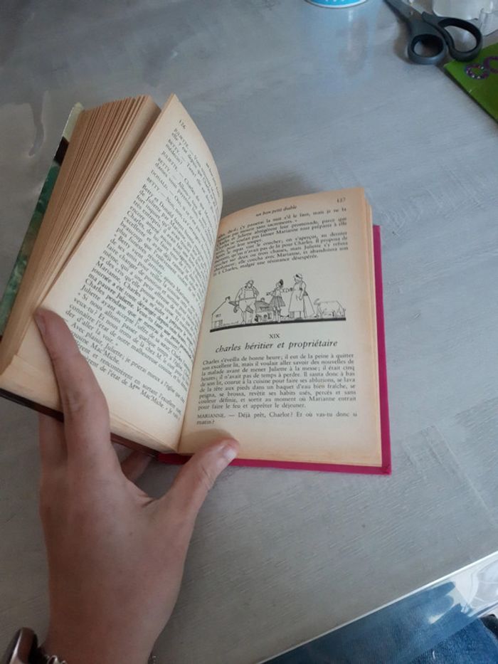 Un bon petit diable - photo numéro 8