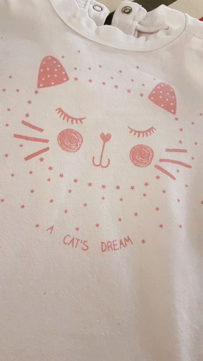 T shirt chat - photo numéro 3